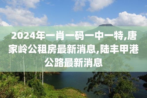 2024年一肖一码一中一特,唐家岭公租房最新消息,陆丰甲港公路最新消息