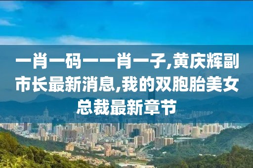 一肖一码一一肖一子,黄庆辉副市长最新消息,我的双胞胎美女总裁最新章节