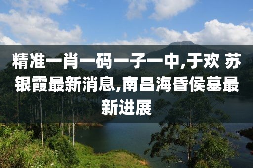 精准一肖一码一子一中,于欢 苏银霞最新消息,南昌海昏侯墓最新进展