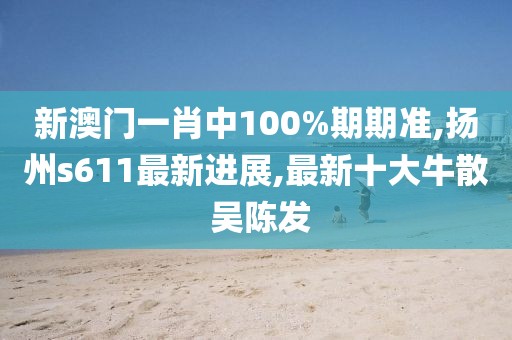 新澳门一肖中100%期期准,扬州s611最新进展,最新十大牛散 吴陈发