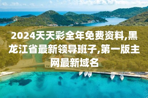 2024天天彩全年免费资料,黑龙江省最新领导班子,第一版主网最新域名