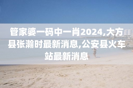 管家婆一码中一肖2024,大方县张瀚时最新消息,公安县火车站最新消息