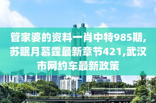 管家婆的资料一肖中特985期,苏眠月慕霆最新章节421,武汉市网约车最新政策
