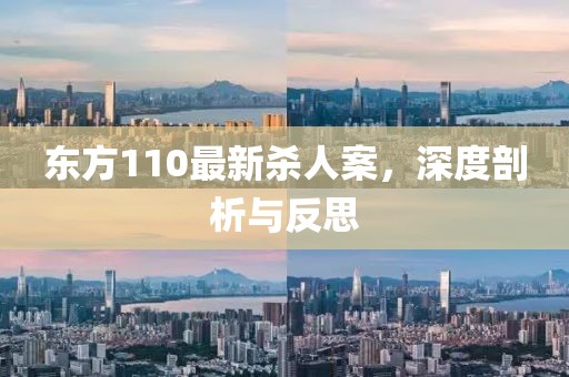 东方110最新杀人案，深度剖析与反思