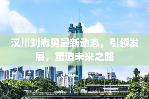 汉川刘志勇最新动态，引领发展，塑造未来之路