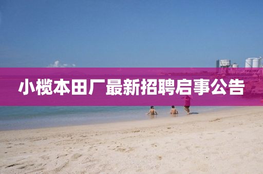 小榄本田厂最新招聘启事公告