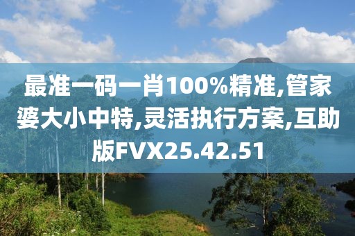最准一码一肖100%精准,管家婆大小中特,灵活执行方案,互助版FVX25.42.51