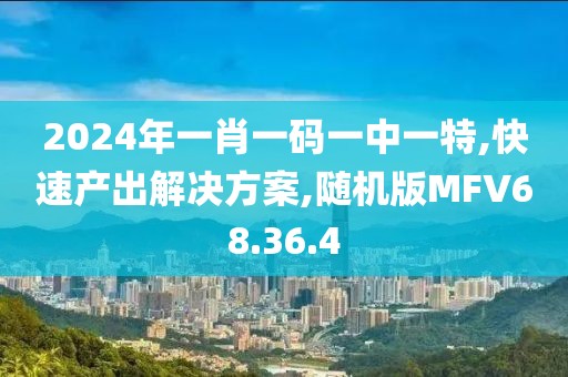 2024年一肖一码一中一特,快速产出解决方案,随机版MFV68.36.4