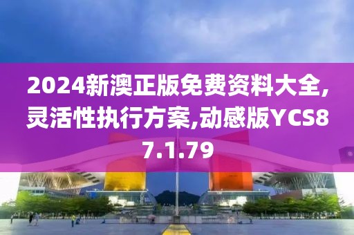 2024新澳正版免费资料大全,灵活性执行方案,动感版YCS87.1.79