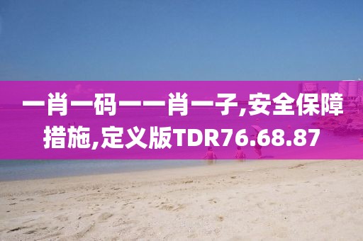 一肖一码一一肖一子,安全保障措施,定义版TDR76.68.87