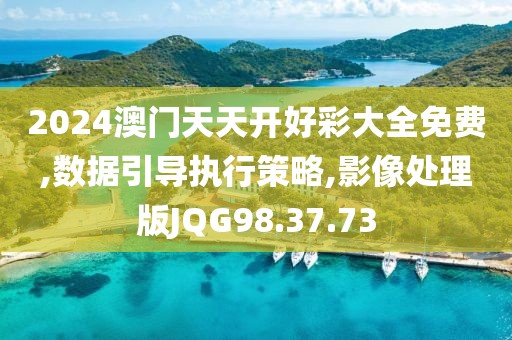 2024澳门天天开好彩大全免费,数据引导执行策略,影像处理版JQG98.37.73