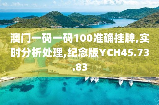 澳门一码一码100准确挂牌,实时分析处理,纪念版YCH45.73.83