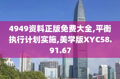 4949资料正版免费大全,平衡执行计划实施,美学版XYC58.91.67