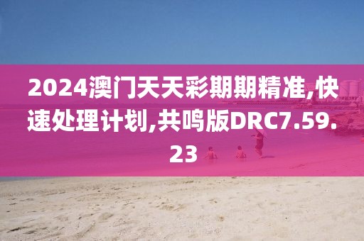 2024澳门天天彩期期精准,快速处理计划,共鸣版DRC7.59.23