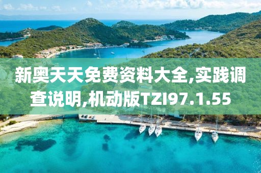 新奥天天免费资料大全,实践调查说明,机动版TZI97.1.55