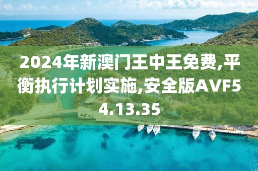 2024年新澳门王中王免费,平衡执行计划实施,安全版AVF54.13.35