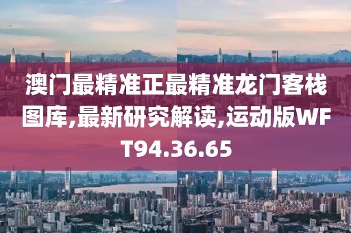 澳门最精准正最精准龙门客栈图库,最新研究解读,运动版WFT94.36.65