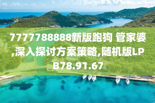 7777788888新版跑狗 管家婆,深入探讨方案策略,随机版LPB78.91.67