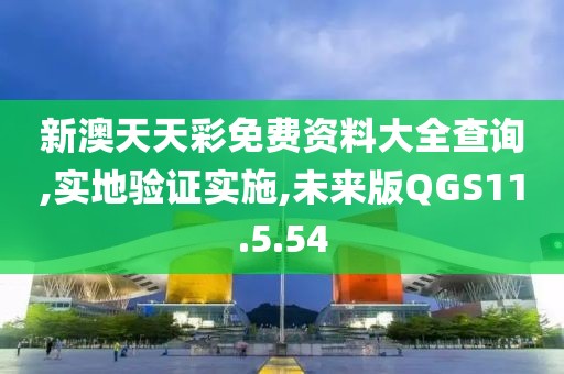 新澳天天彩免费资料大全查询,实地验证实施,未来版QGS11.5.54