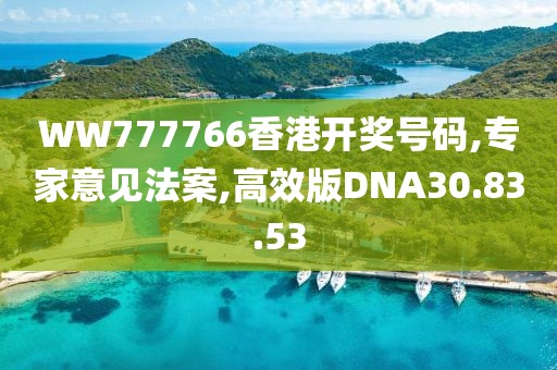 WW777766香港开奖号码,专家意见法案,高效版DNA30.83.53