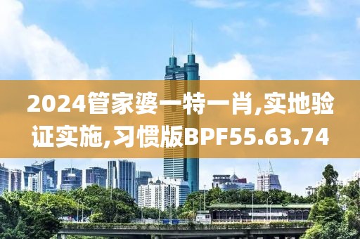 2024管家婆一特一肖,实地验证实施,习惯版BPF55.63.74