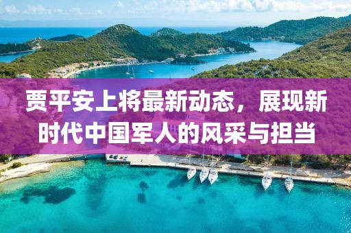 贾平安上将最新动态，展现新时代中国军人的风采与担当