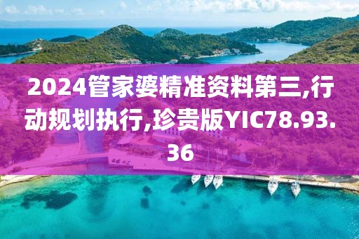 2024管家婆精准资料第三,行动规划执行,珍贵版YIC78.93.36