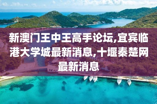 新澳门王中王高手论坛,宜宾临港大学城最新消息,十堰秦楚网最新消息