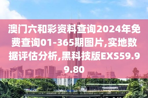 澳门六和彩资料查询2024年免费查询01-365期图片,实地数据评估分析,黑科技版EXS59.99.80
