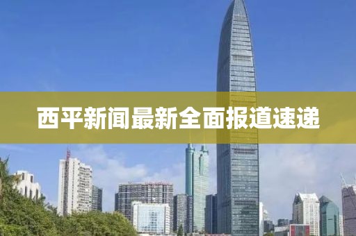 西平新闻最新全面报道速递
