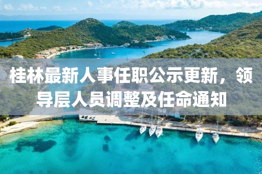 桂林最新人事任职公示更新，领导层人员调整及任命通知