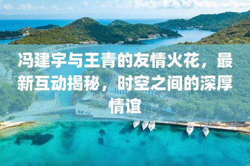 冯建宇与王青的友情火花，最新互动揭秘，时空之间的深厚情谊