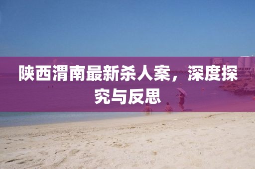 陕西渭南最新杀人案，深度探究与反思