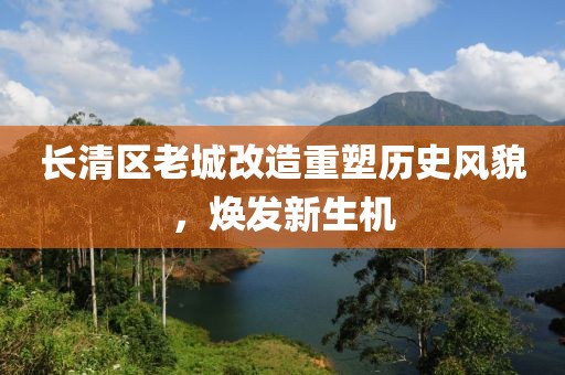 长清区老城改造重塑历史风貌，焕发新生机