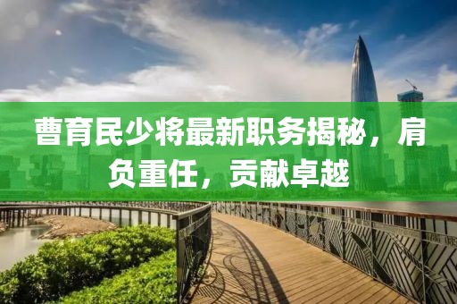 曹育民少将最新职务揭秘，肩负重任，贡献卓越