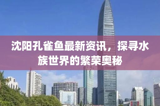 沈阳孔雀鱼最新资讯，探寻水族世界的繁荣奥秘