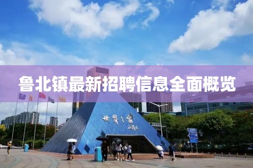 四司六局 第69页