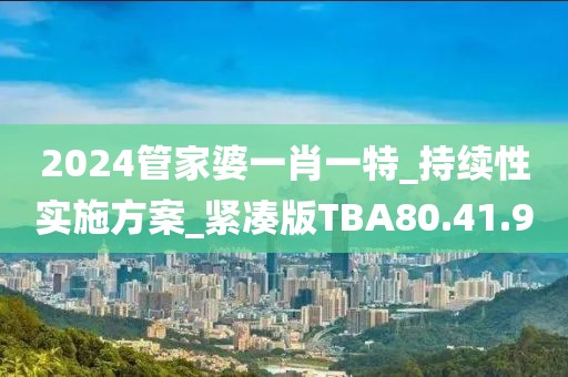 2024管家婆一肖一特_持续性实施方案_紧凑版TBA80.41.90