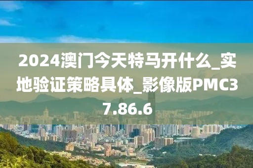 2024澳门今天特马开什么_实地验证策略具体_影像版PMC37.86.6