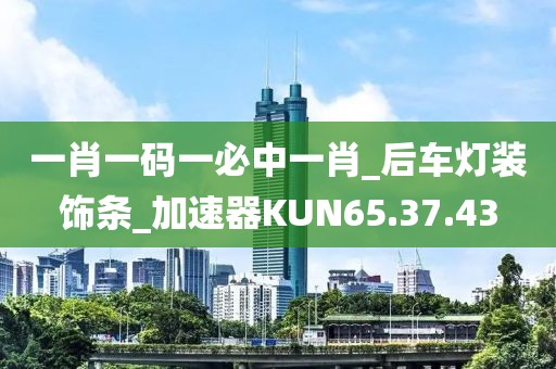 一肖一码一必中一肖_后车灯装饰条_加速器KUN65.37.43