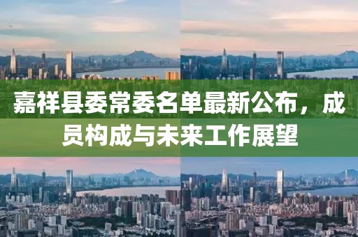 嘉祥县委常委名单最新公布，成员构成与未来工作展望