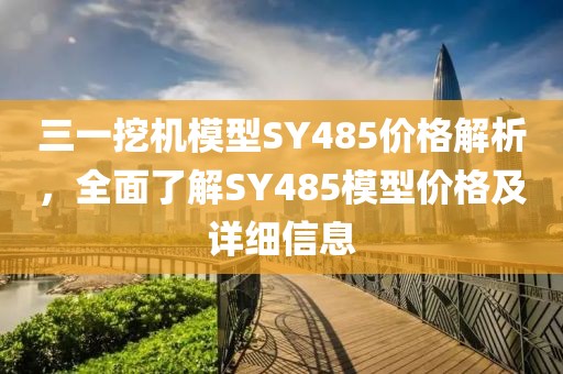 三一挖机模型SY485价格解析，全面了解SY485模型价格及详细信息