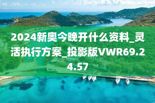 2024新奥今晚开什么资料_灵活执行方案_投影版VWR69.24.57