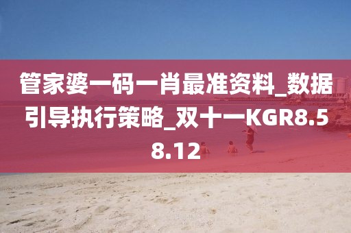管家婆一码一肖最准资料_数据引导执行策略_双十一KGR8.58.12