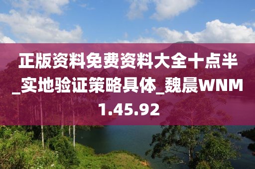 正版资料免费资料大全十点半_实地验证策略具体_魏晨WNM1.45.92