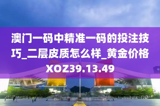 澳门一码中精准一码的投注技巧_二层皮质怎么样_黄金价格XOZ39.13.49