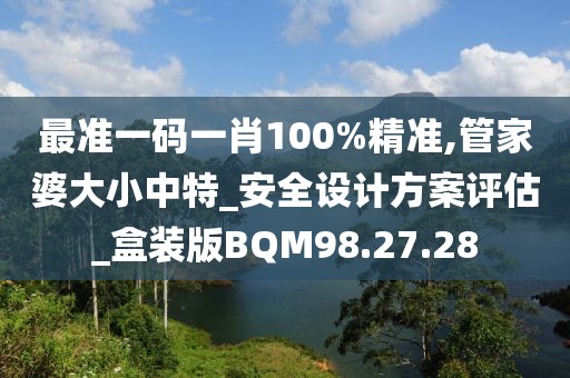 最准一码一肖100%精准,管家婆大小中特_安全设计方案评估_盒装版BQM98.27.28