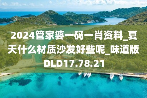 2024管家婆一码一肖资料_夏天什么材质沙发好些呢_味道版DLD17.78.21