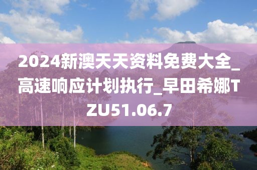 2024新澳天天资料免费大全_高速响应计划执行_早田希娜TZU51.06.7