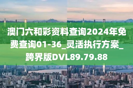 澳门六和彩资料查询2024年免费查询01-36_灵活执行方案_跨界版DVL89.79.88